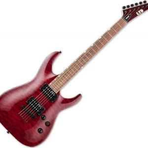 Petit Prix Ltd MH-200QM NT - see thru black cherry