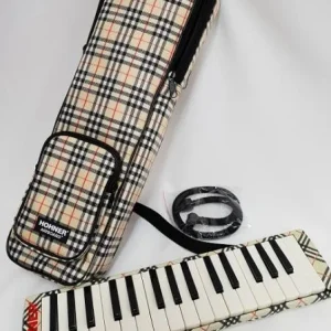 Hohner Airboard 32 Remaster Prix Promo