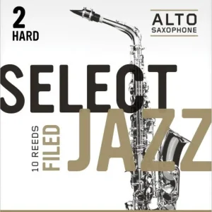 Meilleure Vente D‘addario RSF10ASX2H