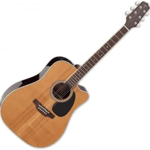 Prix Choc Takamine EF360SC TT Japan - natural