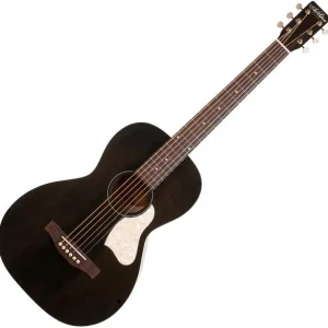 Prix Choc Art et lutherie Roadhouse Parlor A/E - faded black