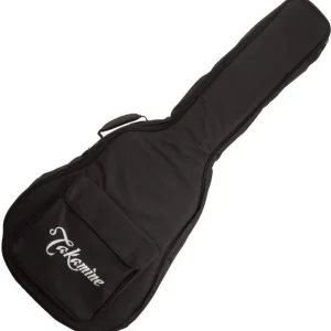 Takamine GB-S Concert Acoustic Guitar Bag Produit De Marque