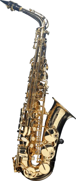 Commander Vite Sml A300