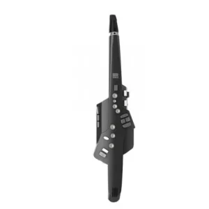 Prix Cassé Roland Aerophone AE-10G