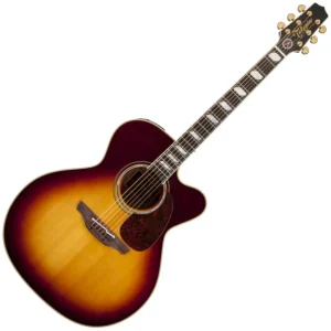 Takamine EF250TK Toby Keith - sunburst Prix Choc