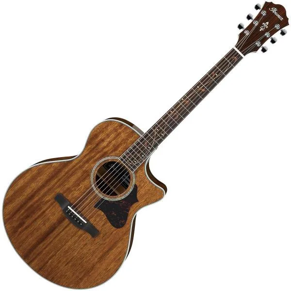 Authentique Ibanez AE245 NT - natural