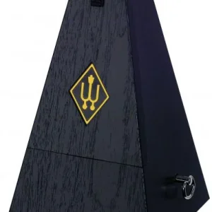 Expédition Rapide Wittner Maelzel 845161 Black