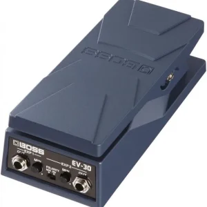 Acheter Direct Boss EV-30 Dual Expression Pedal