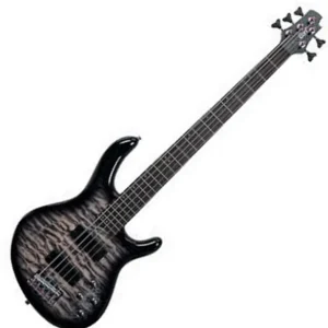 Cort Action DLX V Plus FGB - faded gray burst Dernier Modèle
