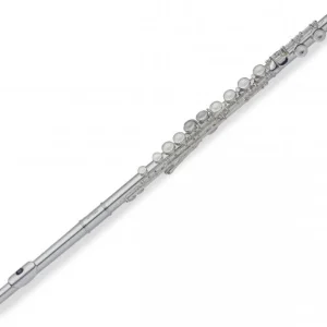 Stagg WS-FL211S en Do Must-Have