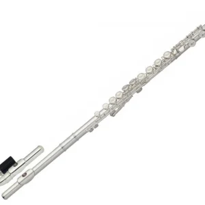 Nouvelle Collection Stagg WS-FL221S en Do
