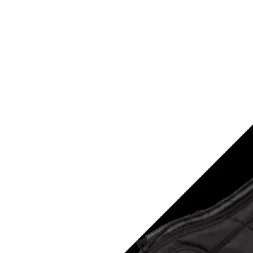 Gator GB-4G-BASS Super Prix