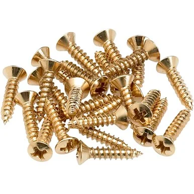 Nouvelle Collection Fender Pickguard - Control Plate Mounting Screws (24) Gold