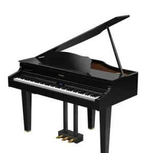Commander Maintenant Roland GP607 - polished ebony
