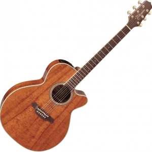 Soldes Takamine EF508KC Legacy Japan - natural