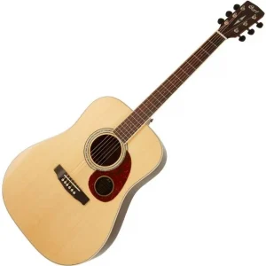 Cort Earth100 Rosewood - natural glossy Retour Gratuit