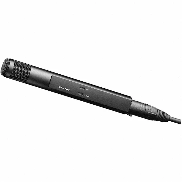 Sennheiser MKH30 P48 Vente Directe