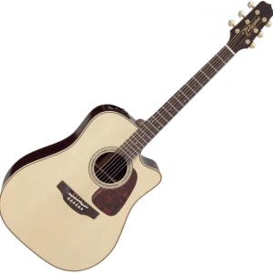 Achat Immédiat Takamine P5DC Pro Japan - natural gloss
