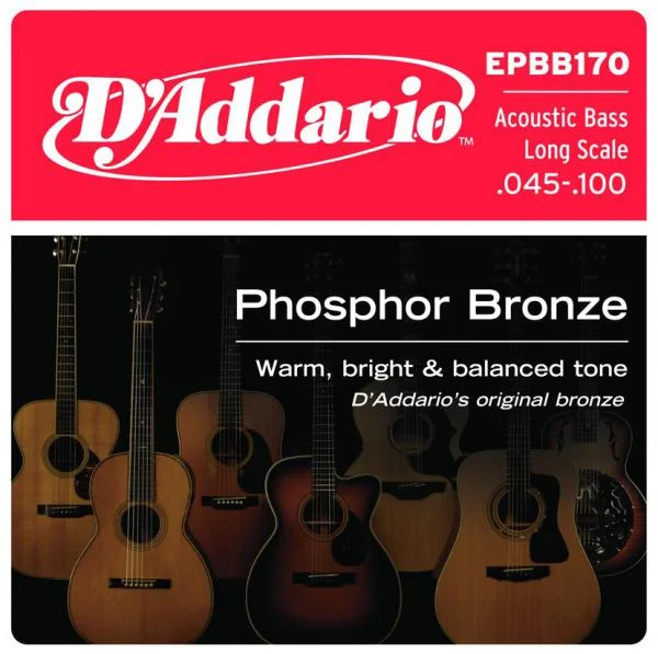 D‘addario EPBB170 Phosphor Bronze Acoustic Bass, Long Scale, 45-100 - jeu de 4 cordes Achat Immédiat