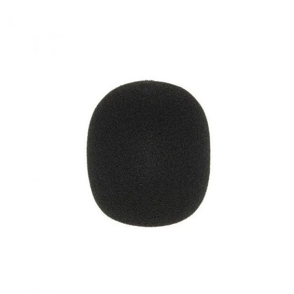 Vente Flash Sennheiser MZW8000