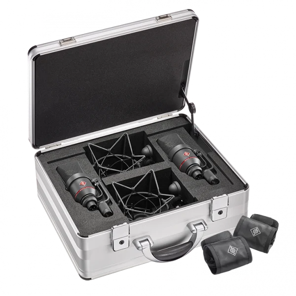 Super Prix Neumann TLM 170 R mt Stereo Set