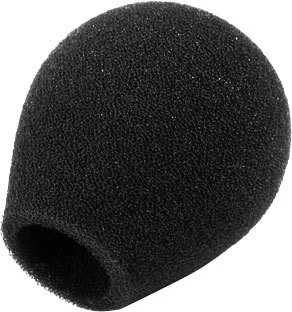 Neumann WNS 100 Pas Cher