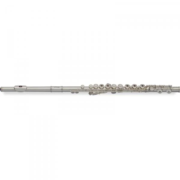 Stagg WS-FL251S Meilleur Choix