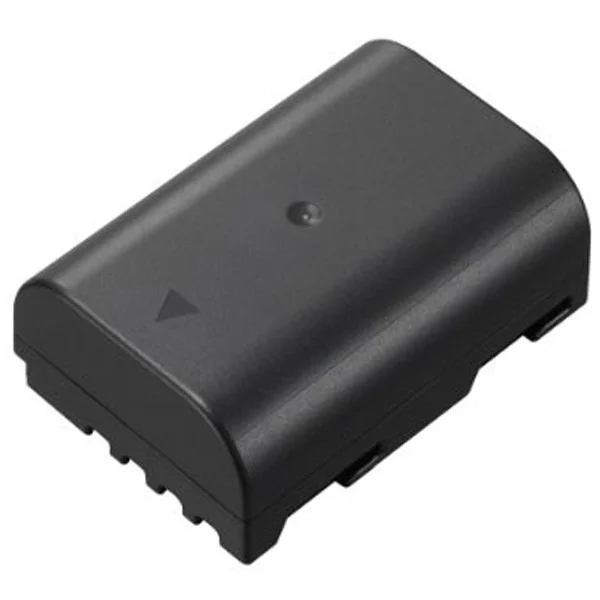 Pas Cher Panasonic DMW-BLF19E – DSLR Battery