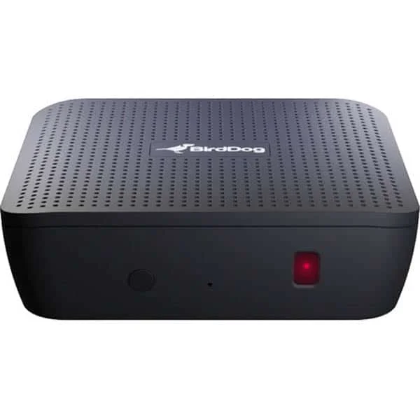 Acheter En Ligne BirdDog PLAY – Player 4K NDI