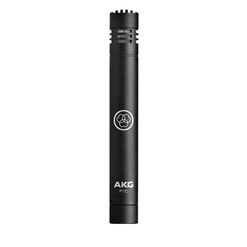 AKG P170 Meilleur Choix