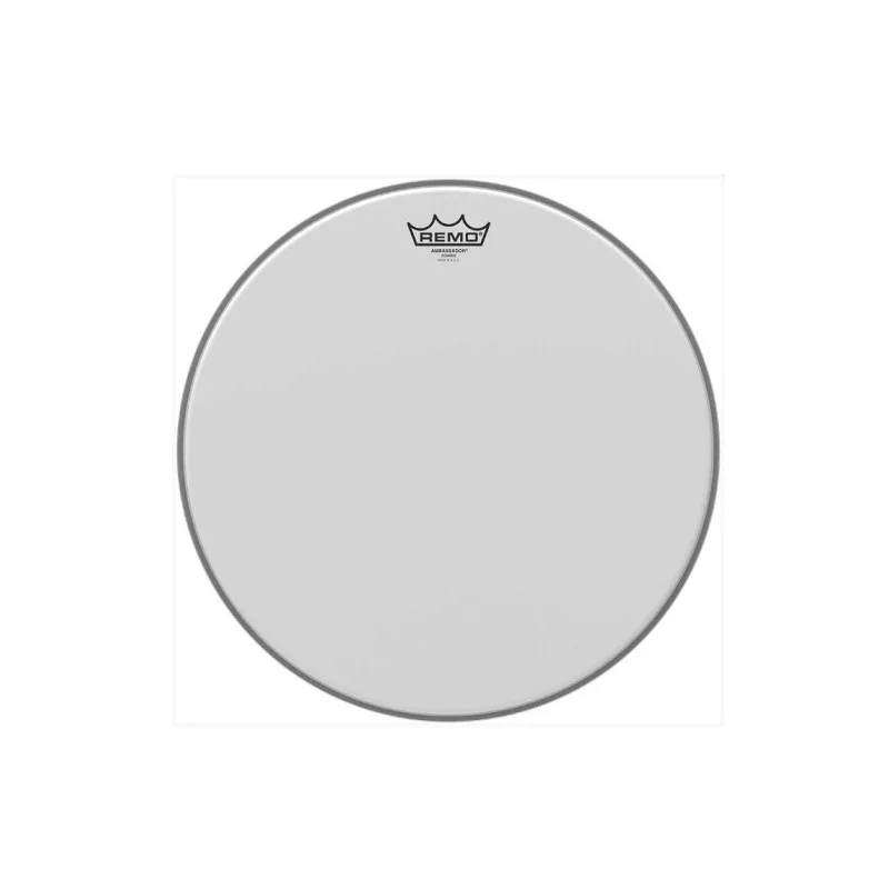 Dernier Modèle PEAU DE TOM 16" AMBASSADOR SABLEE REMO