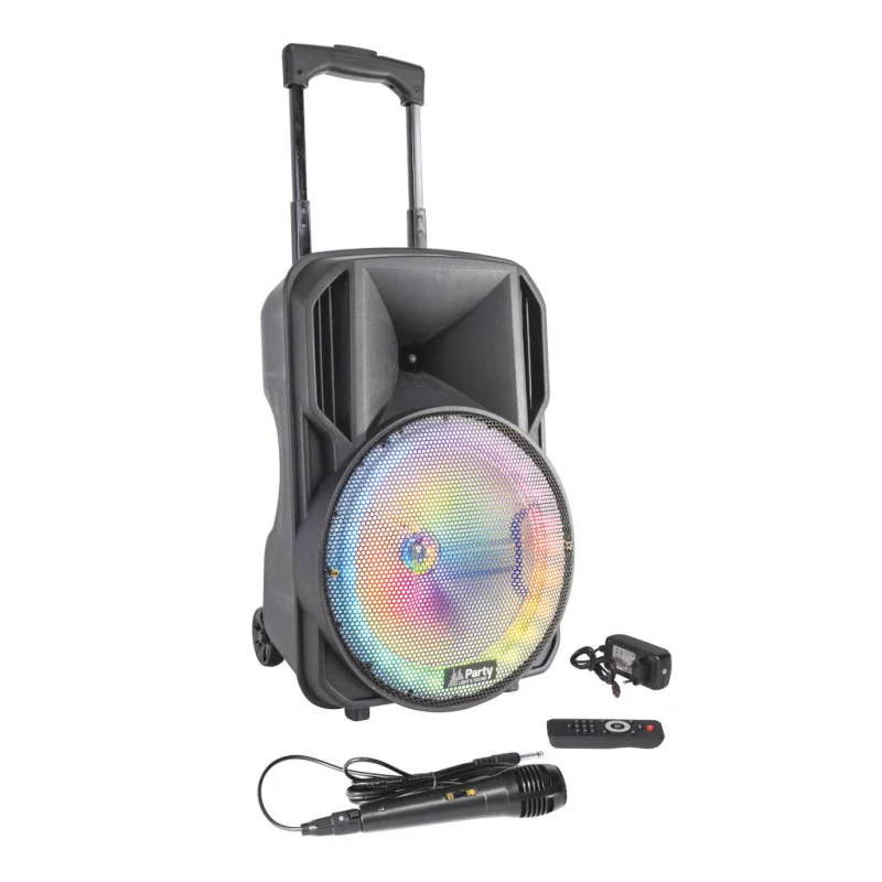 Achat Immédiat ENCEINTE PORTABLE 10‘‘/25cm AVEC USB, Micro SD, BLUETOOTH PARTY