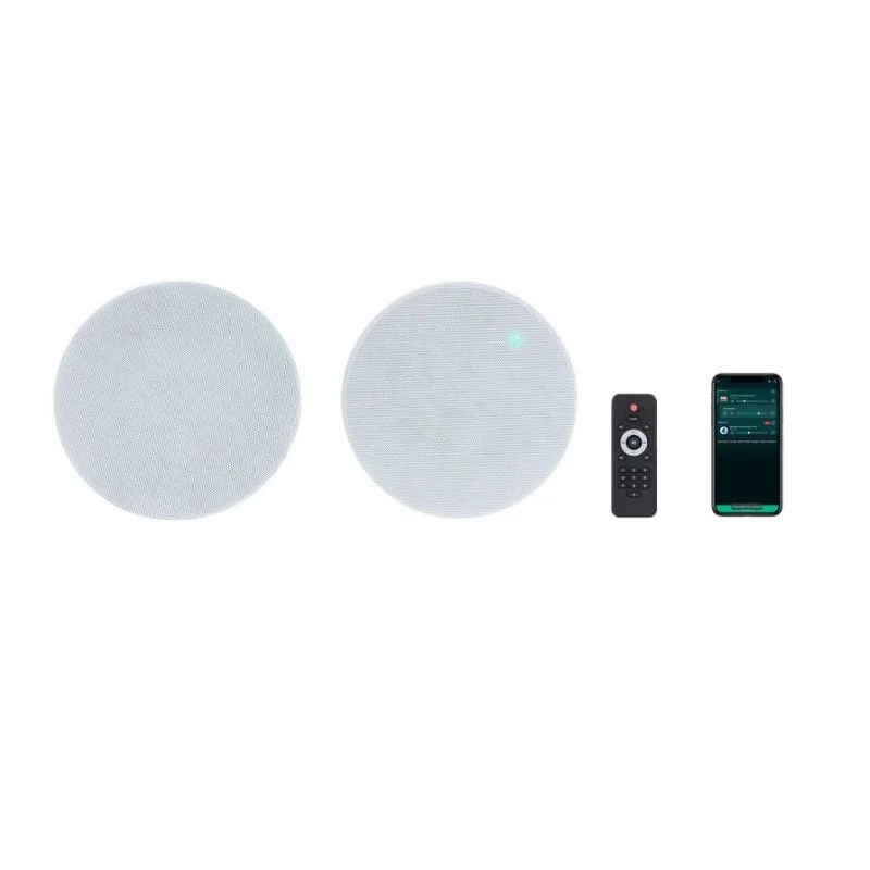 2 HP DE PLAFOND ACTIFS WIFI FONESTAR Bon Plan