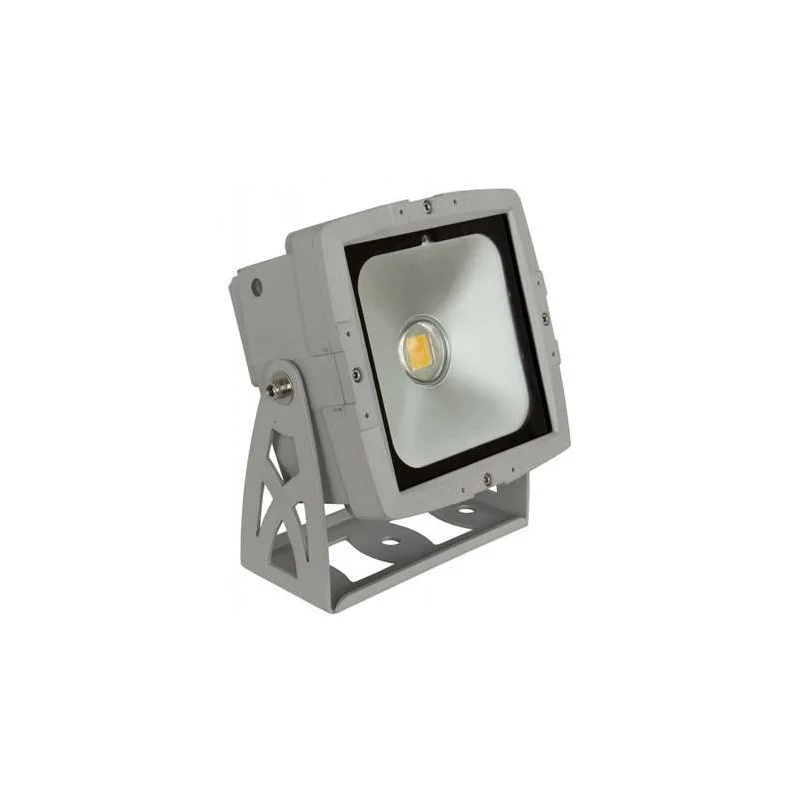PROJECTEUR LED BLANC CHAUD INT/EXT LED COB 50W BRITEQ Haute Qualité
