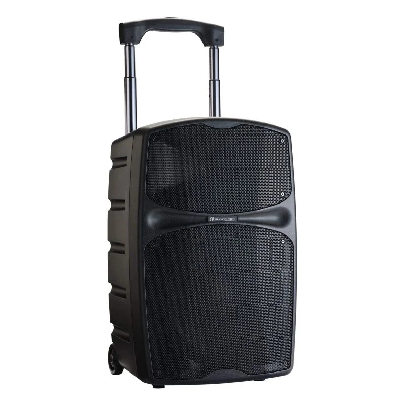 Livraison Express RACER250 Audiophony