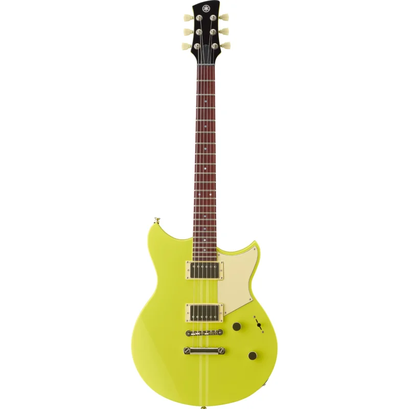 Commander Maintenant RSE20NY Yamaha
