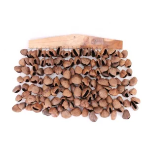 Carillon (Chimes) avec des graines de pangi ROOTS 50cm Acheter Direct