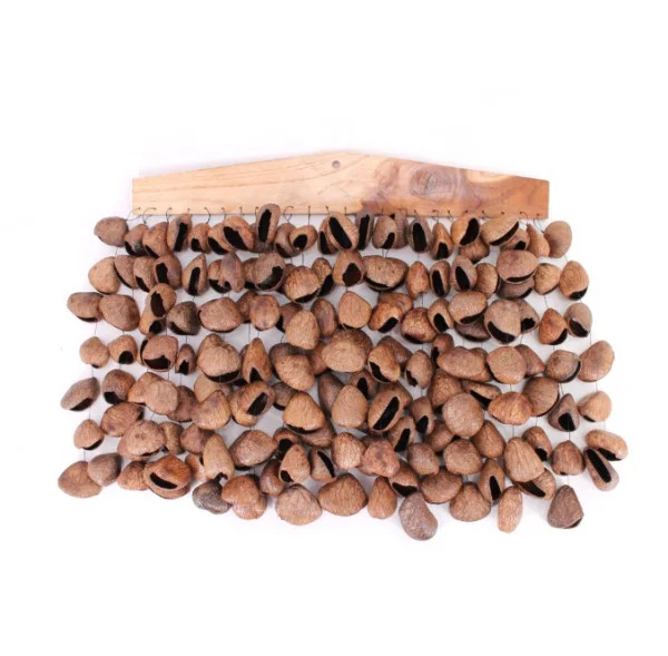 Carillon (Chimes) avec des graines de pangi ROOTS 50cm Acheter Direct