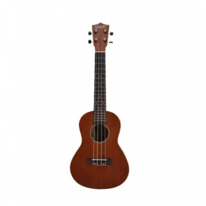 Offre Spéciale Ukulélé concert