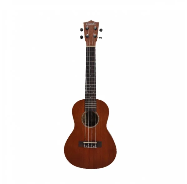 Offre Spéciale Ukulélé concert