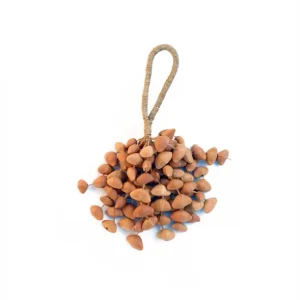 Crécelle (Chimes kenari) - son aigu - Roots Percussions Must-Have