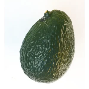 Shaker fruit Avocat - Roots Percussions Nouvel Arrivage