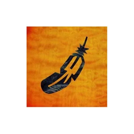 Paiement Sécurisé Petit sticker guitare petite plume noir pearl