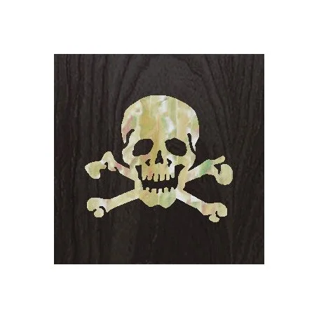 Acheter En Ligne Grand sticker guitare tête de mort blanc abalone