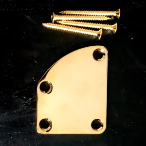 Achetez Aujourd'hui Plaque de Manche courbe Gold + 4 vis