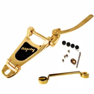 Kit Towner avec Bigsby B3 Gold Prix Choc